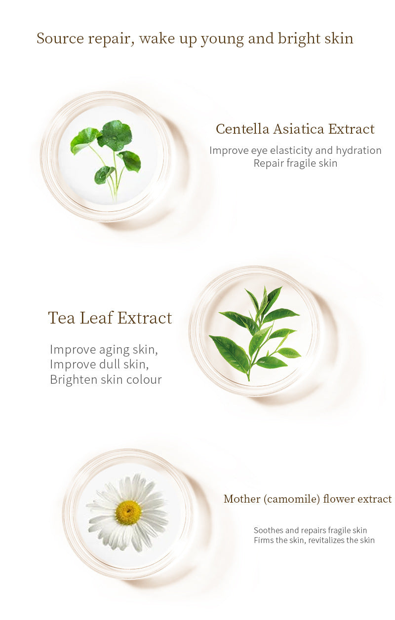Mini Vibration Hexapeptide Eye Cream – Dark Circles, Eye Bags & Fine Lines | Wholesale OEM